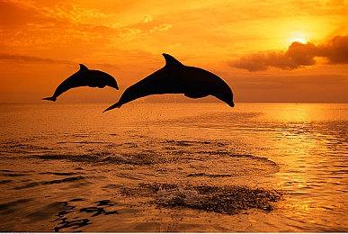 KK对战平台战令S2 赛季，500%超值奖励！带你闯荡魔法冰雪世界